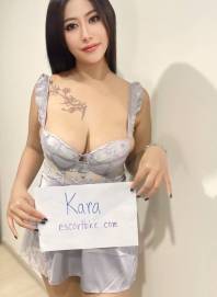 Busty Escort 